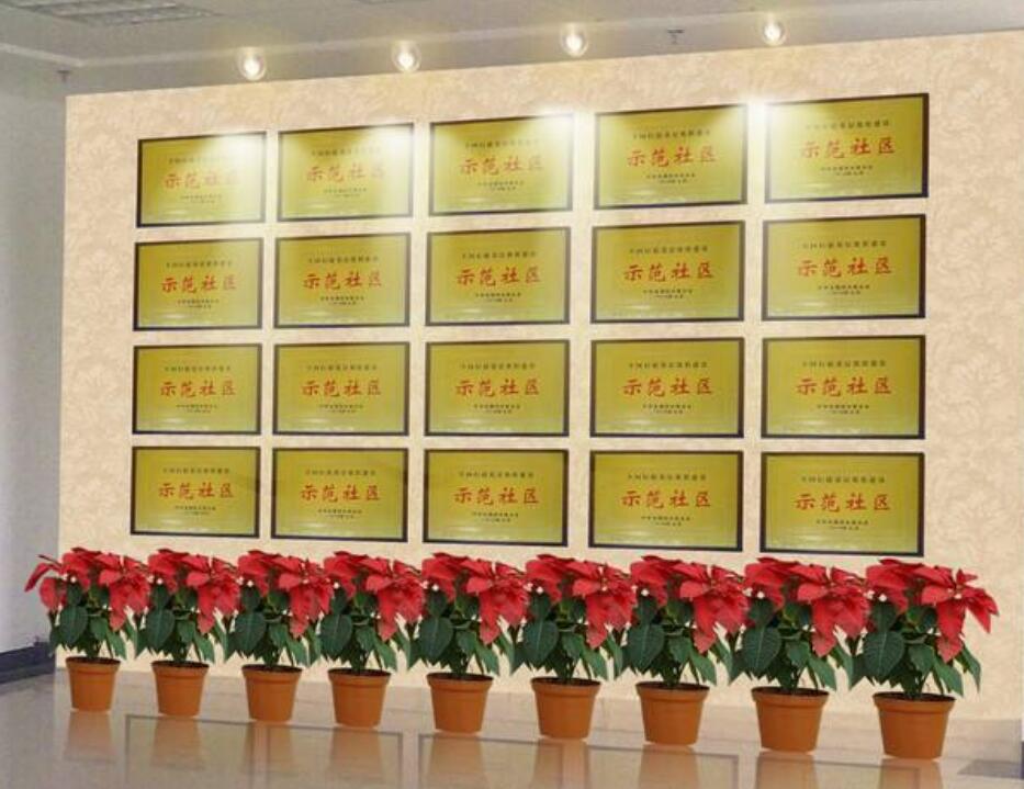 證書 (6)